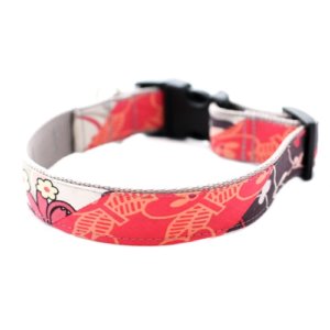 'Brandy' Designer Dog Collar