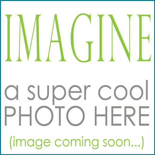 'Willow' Laminated Cotton Dog Harness