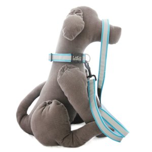 Reflective Dog Collar with Etched Personalized Buckle