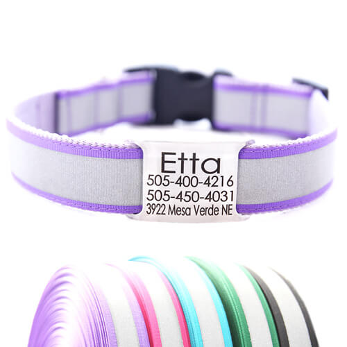 Reflective Dog Collar with Engraved Personalized Name Plate