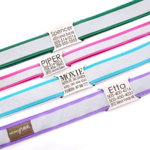 DD: Reflective Dog Collar with Engraved Personalized Name Plate