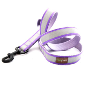 DD: Reflective Dog Collar with Engraved Personalized Name Plate