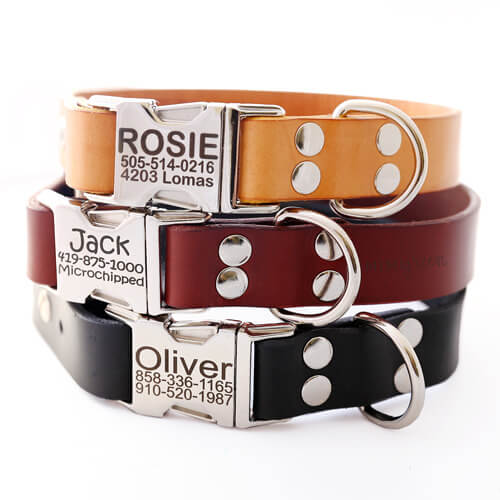Personalized Reflective Martingale Dog Collar
