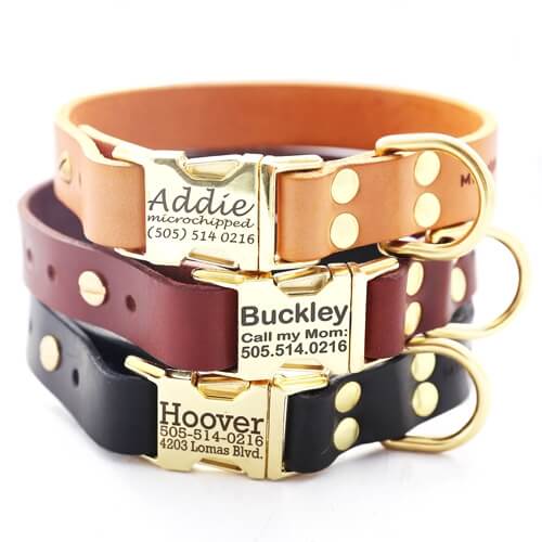 Classic Personalized Leather Dog Collar