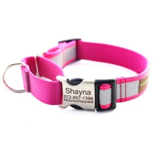 Personalized Reflective Martingale Dog Collar