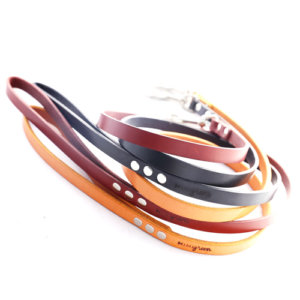 Classic Leather Dog Leashes