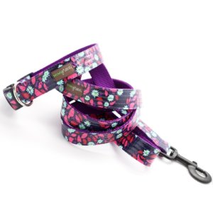 Jasmine Laminated Cotton Dog Collar