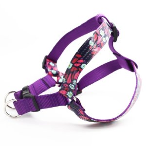Jasmine Laminated Cotton Dog Harness