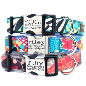 DD: Metal Personalized Engraved Buckle Dog Collar  *3 Classic St